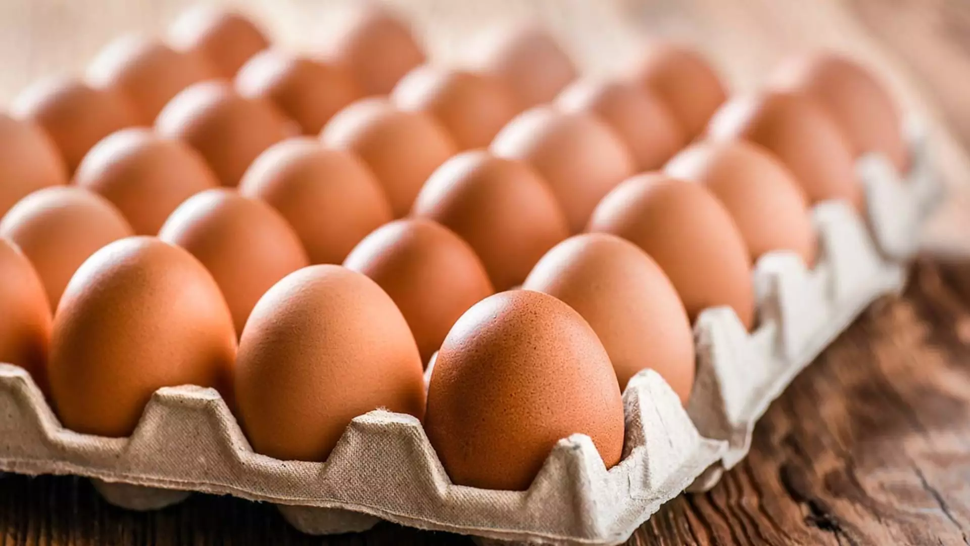 Ölkədə yumurta istehsalı 12% artıb