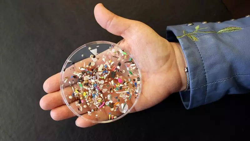 Beyinə gedən mikroplastiklər insanın davranışını dəyişdirir
