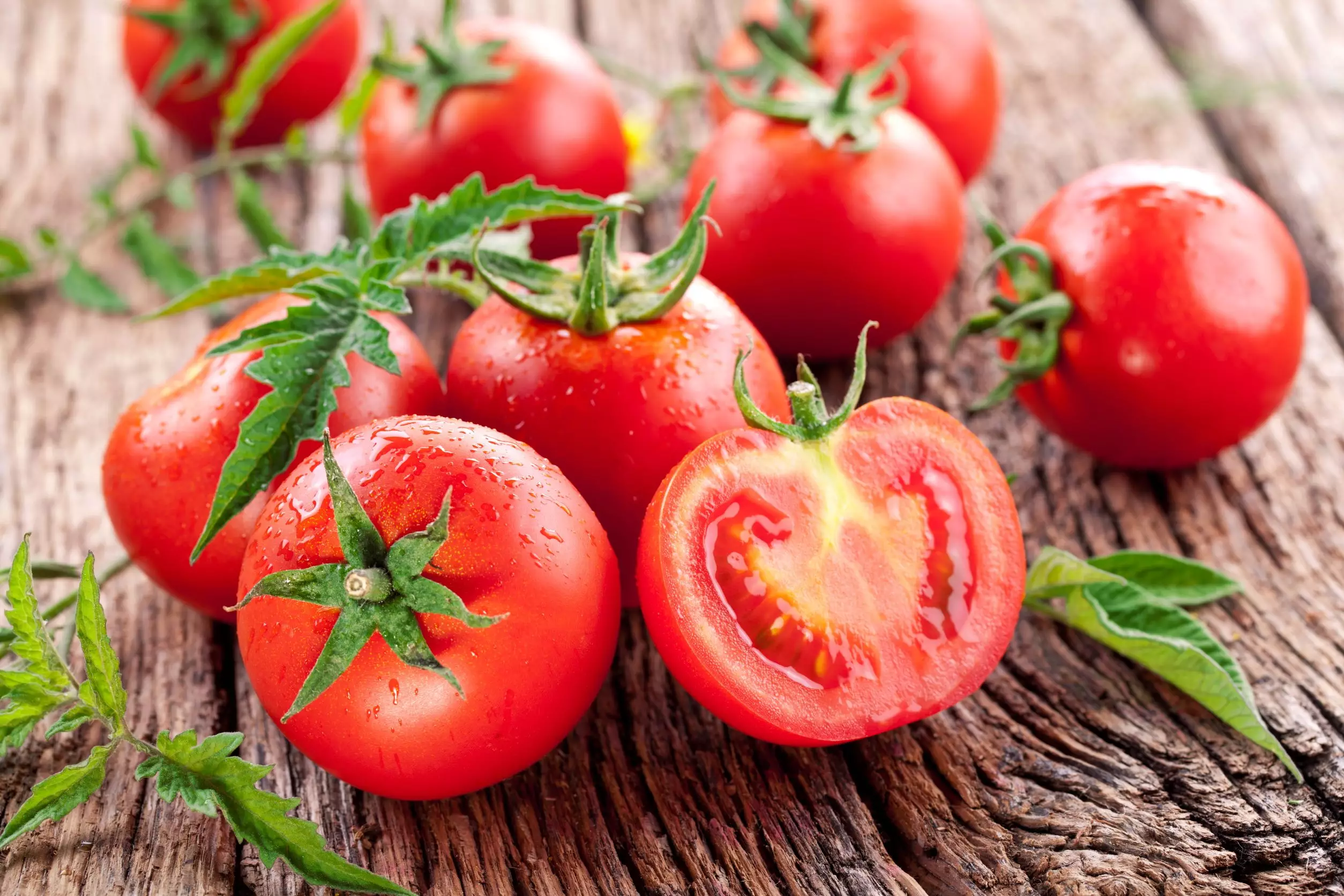 Azərbaycanın pomidor satışından qazancı AÇIQLANDI
