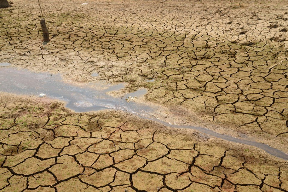 FAO: "İqlim dəyişikliyinin təsirləri kənd təsərrüfatını təhdid edir"