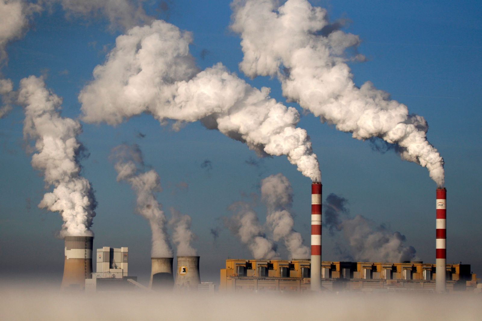 Qlobal karbon qazı emissiyaları azala bilər