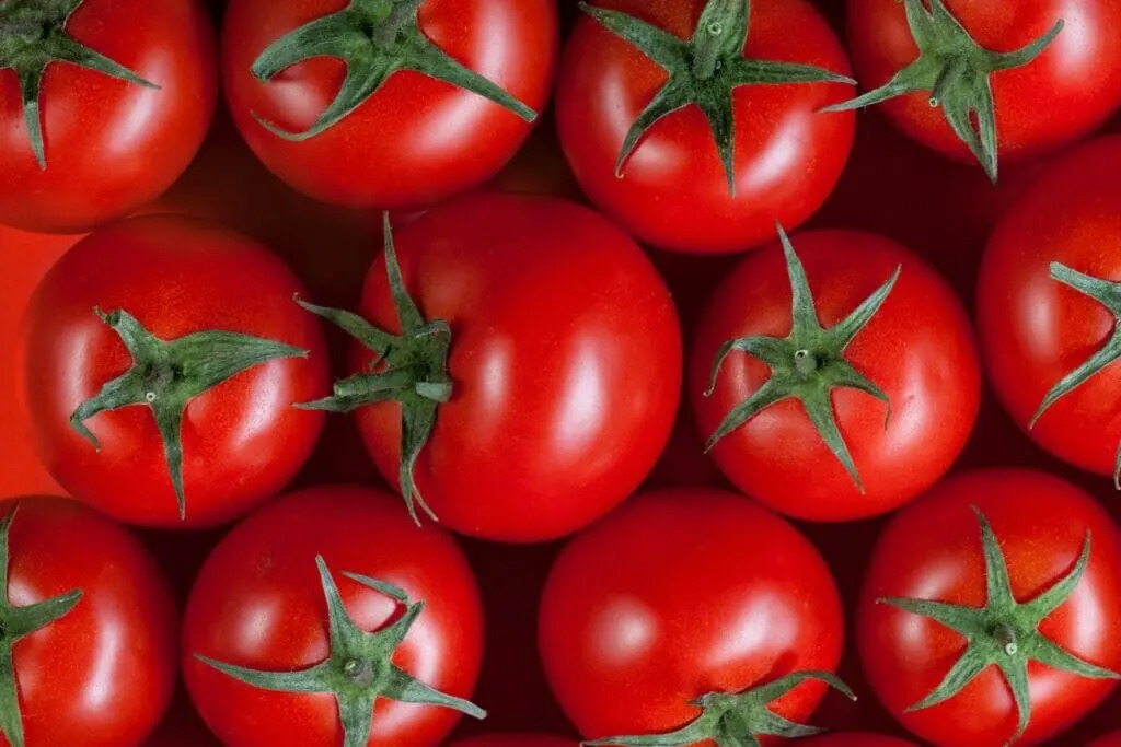 Azərbaycan pomidor satışından nə qədər qazanıb?