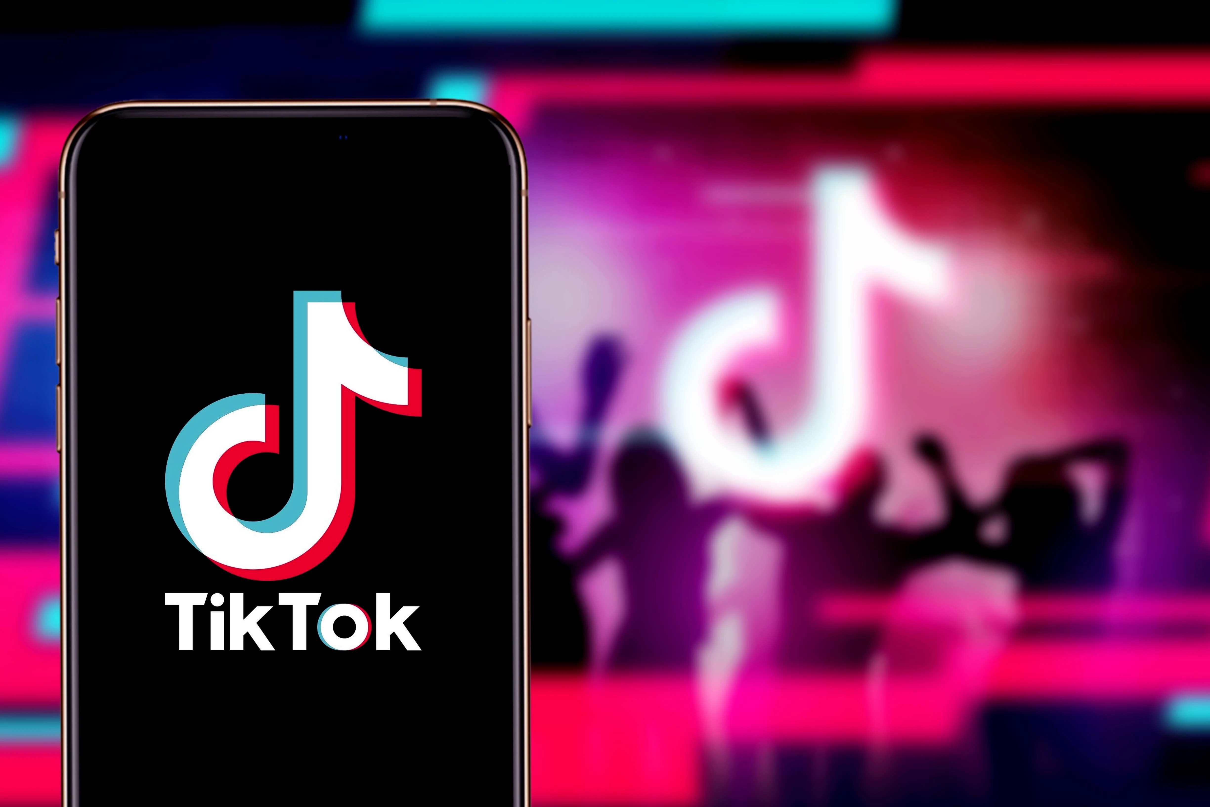 Bu ölkə də "TikTok"a qadağa qoydu