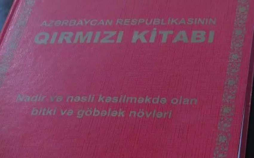 "Qırmızı Kitab"ın lll nəşri tam hazırdır