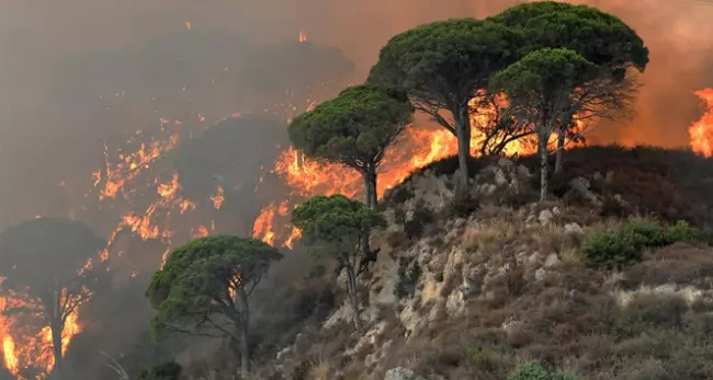 İtaliyada ilin əvvəlindən 51,3 min hektardan çox meşə sahəsi yanıb