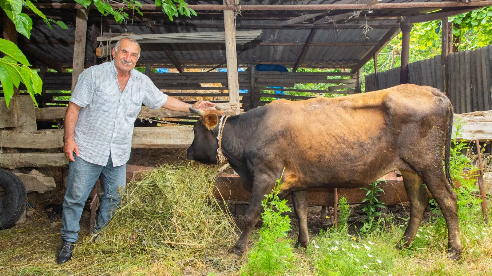 TuranBank özünüməşğulluq proqramına dəstək olmağa davam edir