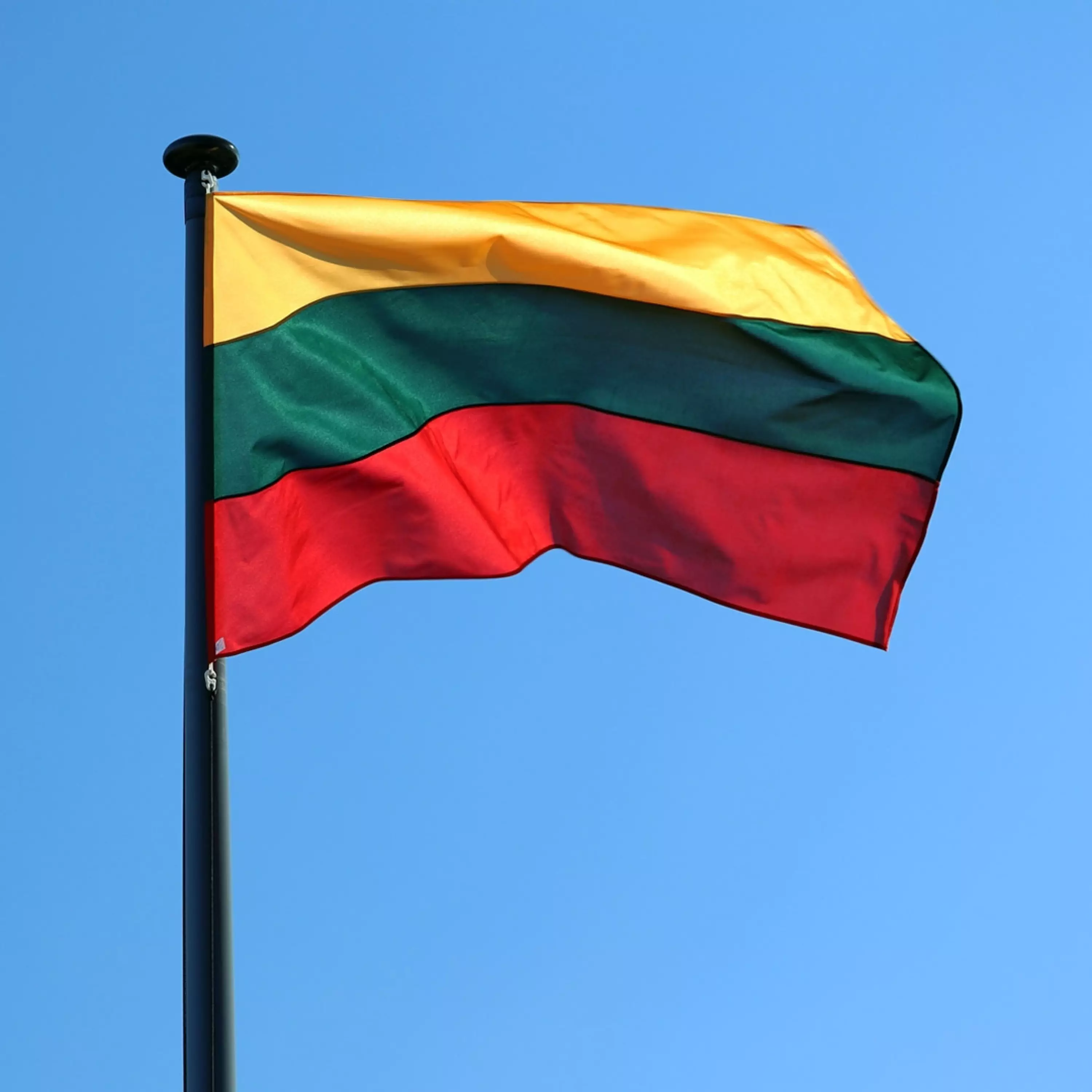 Litvanın baş naziri istefaya razılıq verib