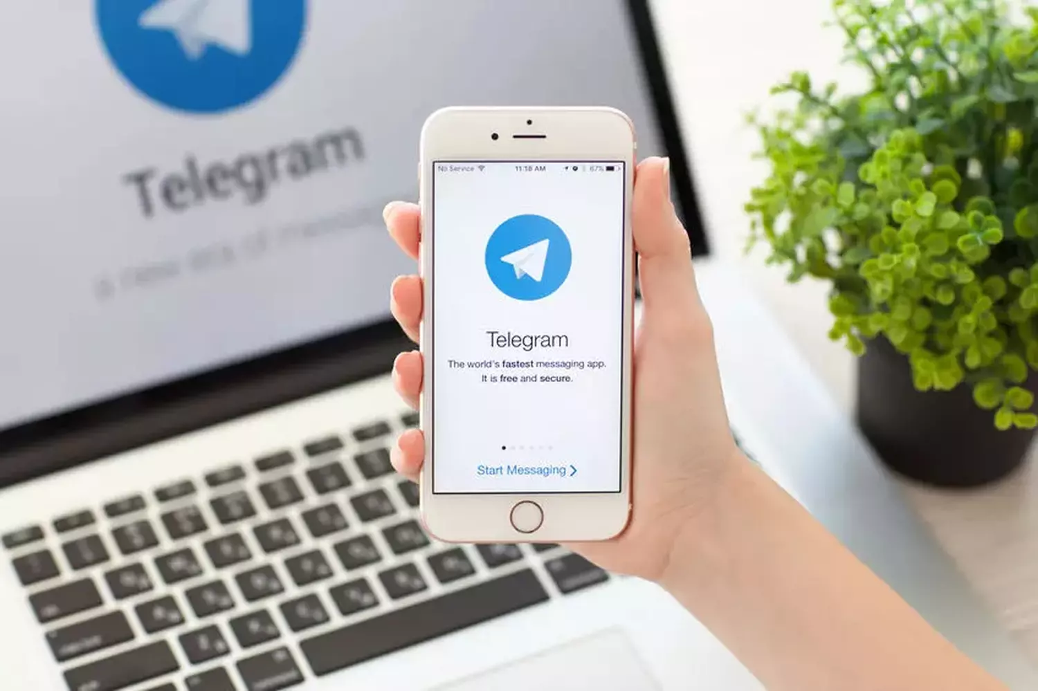 "Telegram"dan istifadə edənlərin NƏZƏRİNƏ