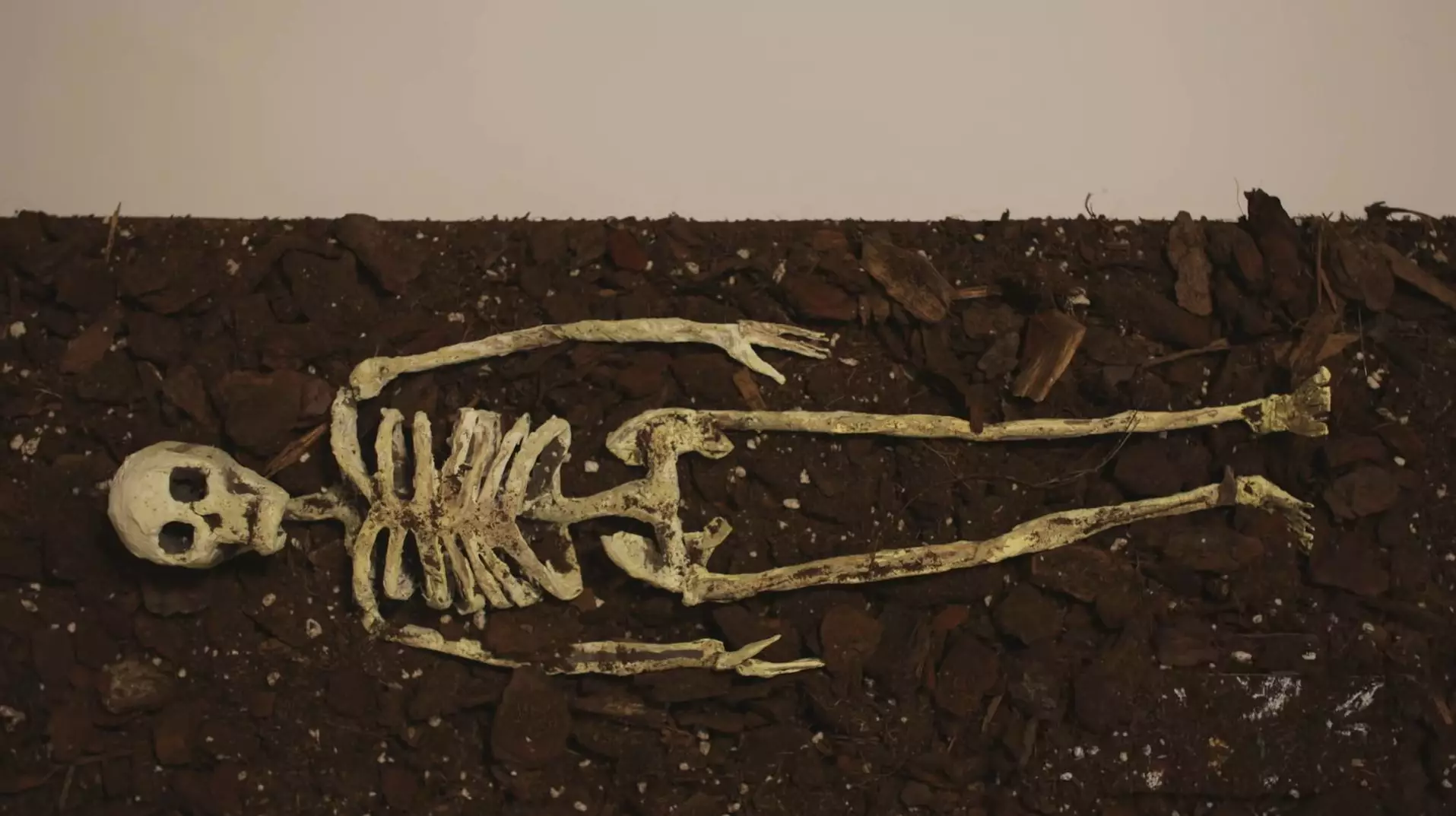 5 il öncə itkin düşən aparıcının skeleti tapıldı