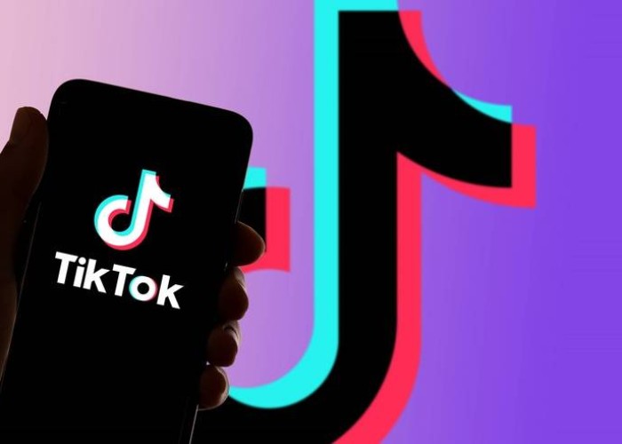 “TikTok“da polisi söyən gənc cəzalandırıldı