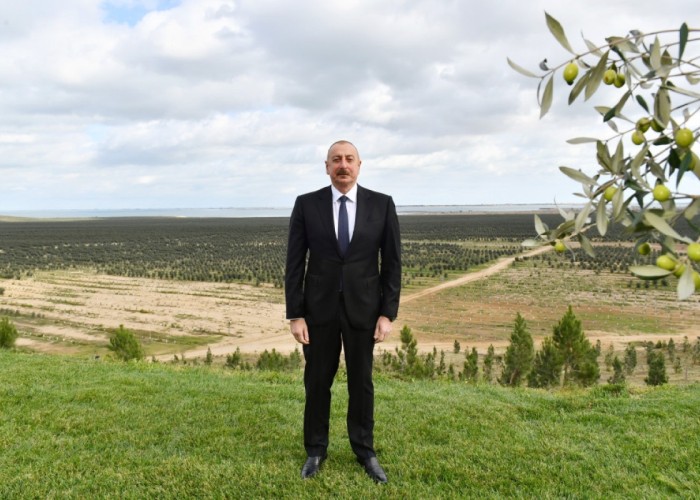 İlham Əliyev: “Biz hər yerdə xariqələr yaradırıq”