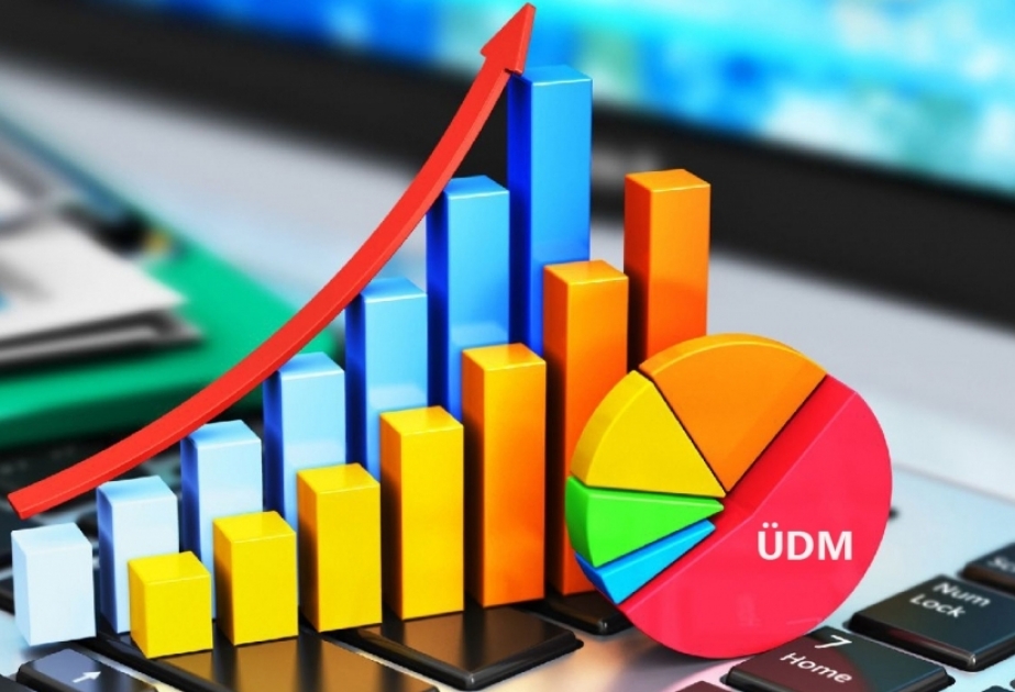 Bu il ümumi daxil məhsulu 4,8% artıb