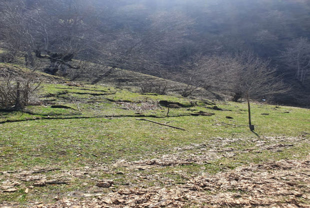 Azərbaycanda torpaq sürüşməsi olub