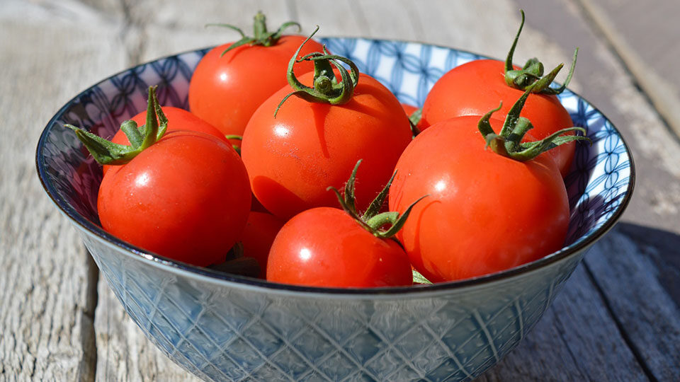 Azərbaycanda pomidor niyə bahalaşır? AÇIQLAMA