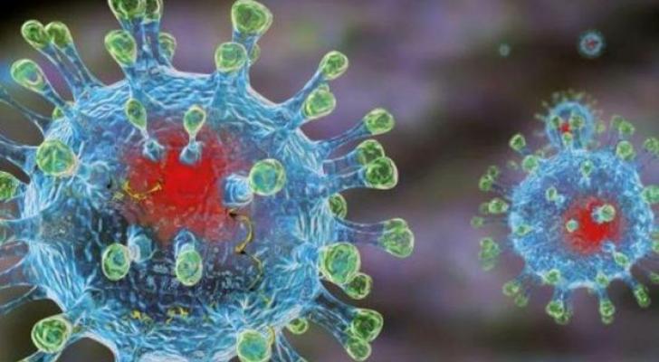Daha iki ölkədə koronavirus aşkarlandı