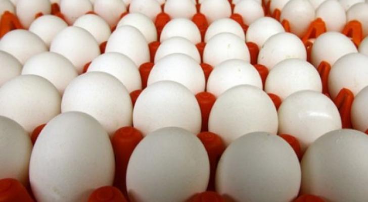 Yumurta istehsal edəcək yeni quşçuluq müəssisəsi tikilir