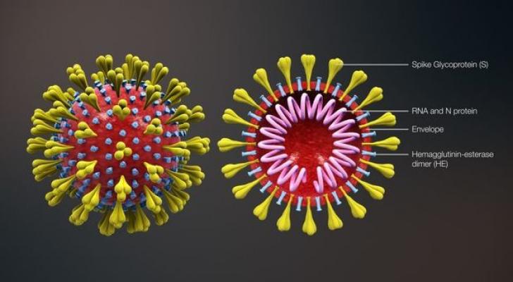 ABŞ-da sınaqdan keçirilən koronavirusa qarşı vaksinin ilk nəticələri əldə edildi