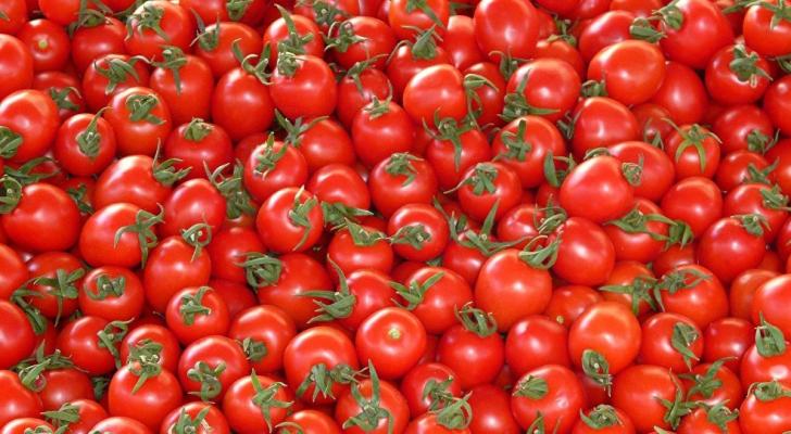 Azərbaycan pomidor ixracını 14% artırıb