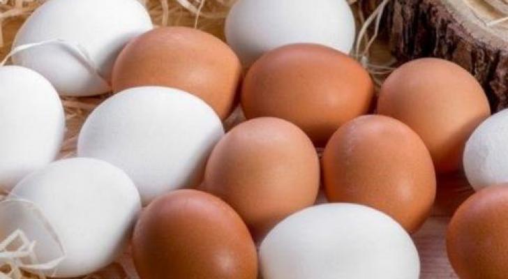 Gürcüstan Azərbaycana yumurta ixracını kəskin artırıb