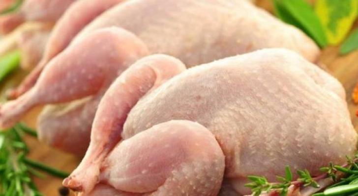 Rusiyadan Azərbaycana gələn məhsulda salmonella aşkarlandı