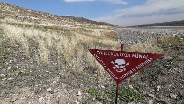 Bu il azad edilmiş ərazilərdə aşkarlanan minaların sayı açıqlanıb