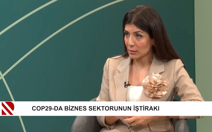 Nigar Arpadarai: COP29 Azərbaycanı kiçik ölkədən daha böyük müzakirələrin iştirakçısına çevirəcək