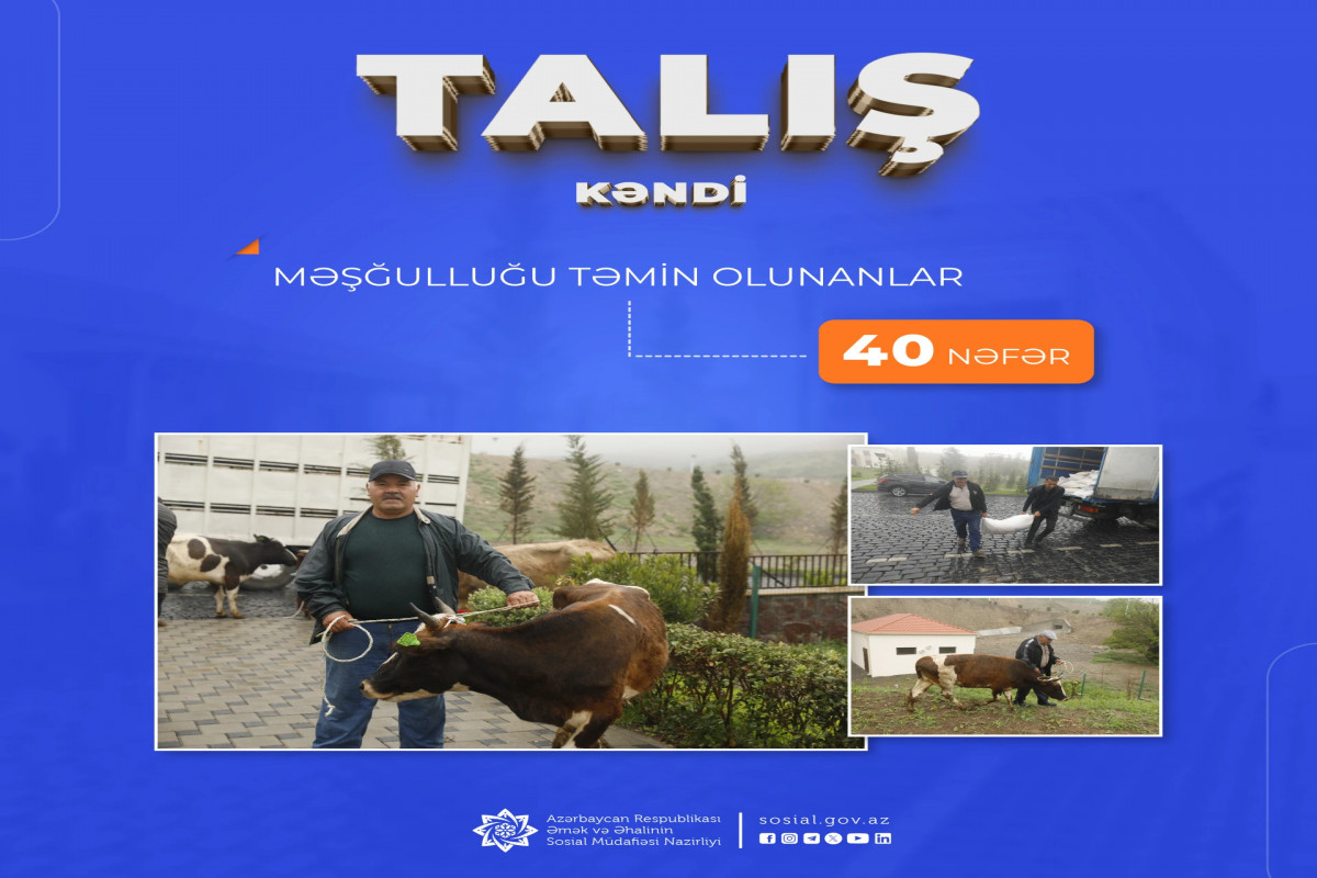 Talış kəndinə köçürülən sakinlərdən 40 nəfərin məşğulluğu təmin olundu