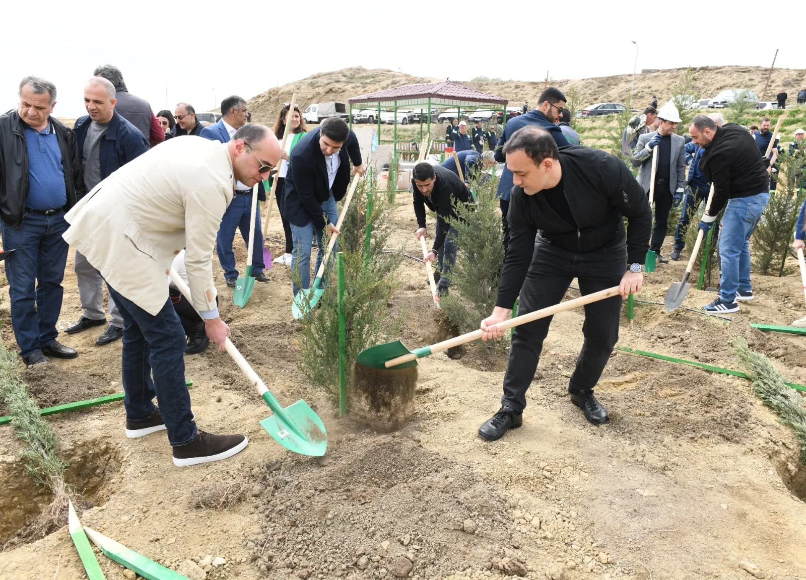 “Yaşıl dünya naminə həmrəylik ili” çərçivəsində SOCAR-ın təşkilatçılığı ilə ağacəkmə aksiyası keçirilib - FOTO