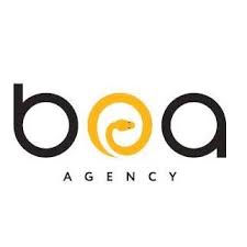 “BOA Agency” kredit götürür