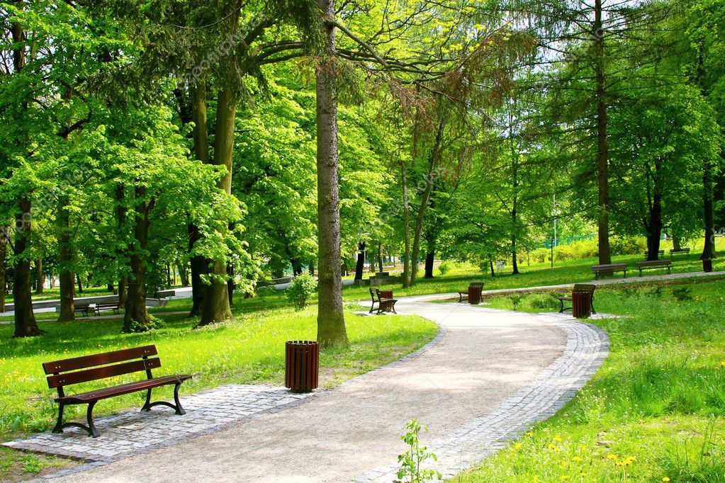 Bakıda yeni park salınacaq