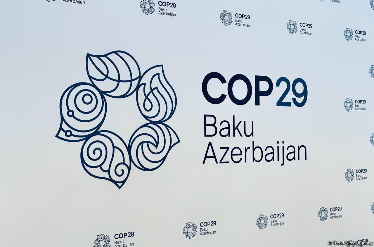 Nazir COP29 zamanı bağçaların fəaliyyəti məsələsinə aydınlıq gətirib