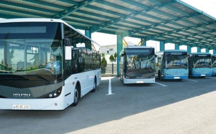 Mingəçevirdə avtobus marşrutları müsabiqəyə çıxarılır
