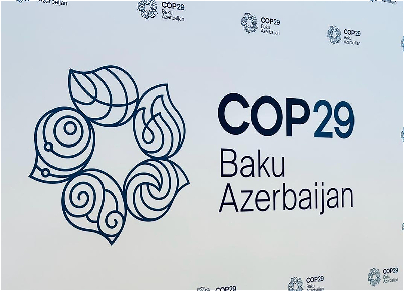 COP 29-un keçirilməsinə ayrılan vəsaitin auditi aparılacaq