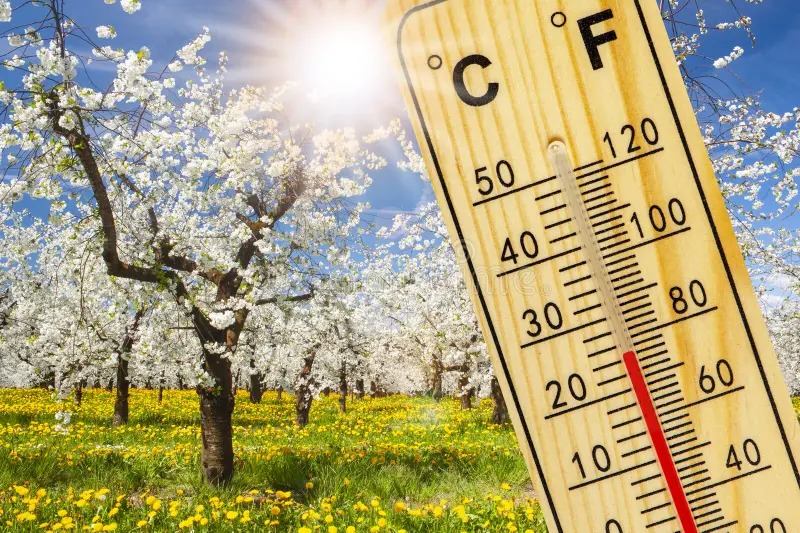 Havanın temperaturu iqlim normasından 12 dərəcə yuxarı olub