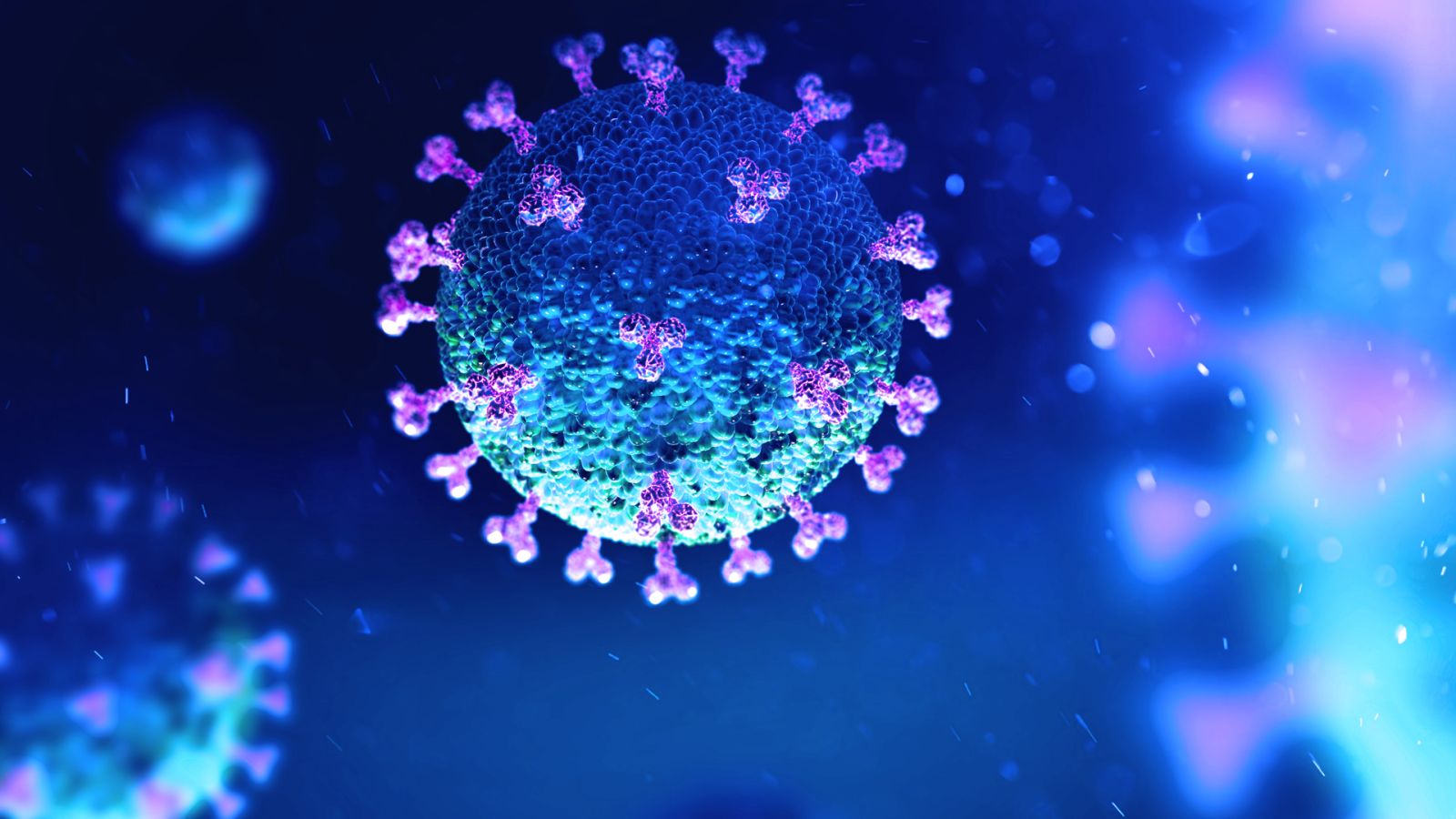 Koronavirus dünyada gözlənilən ömür müddətini 2 ilə yaxın qısaldıb