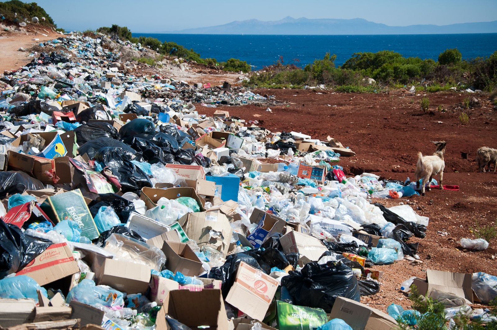 Dünyada plastik tullantıların ən çox olduğu ölkənin adı açıqlanıb