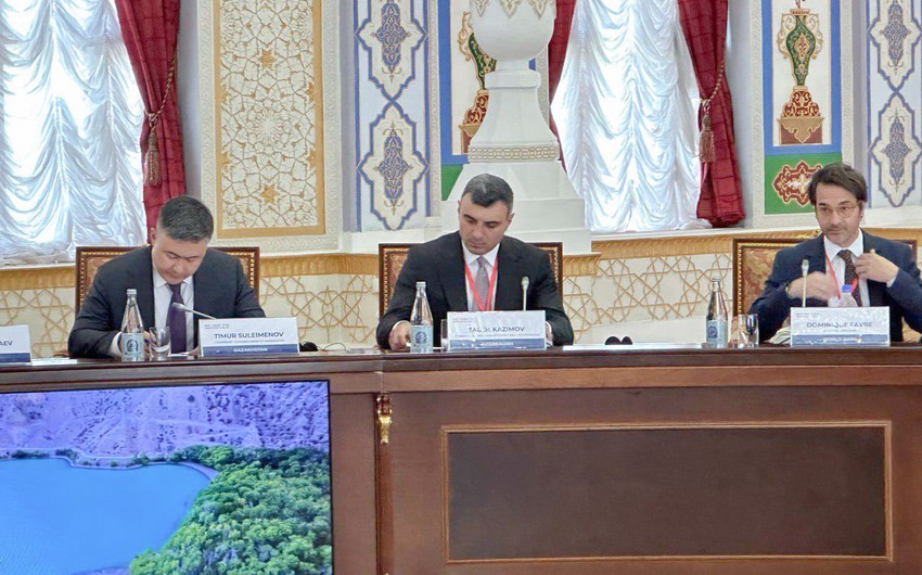 Azərbaycan Dünya Bankı və IMF-nin Seçki Qrupunun toplantısında iştirak edib