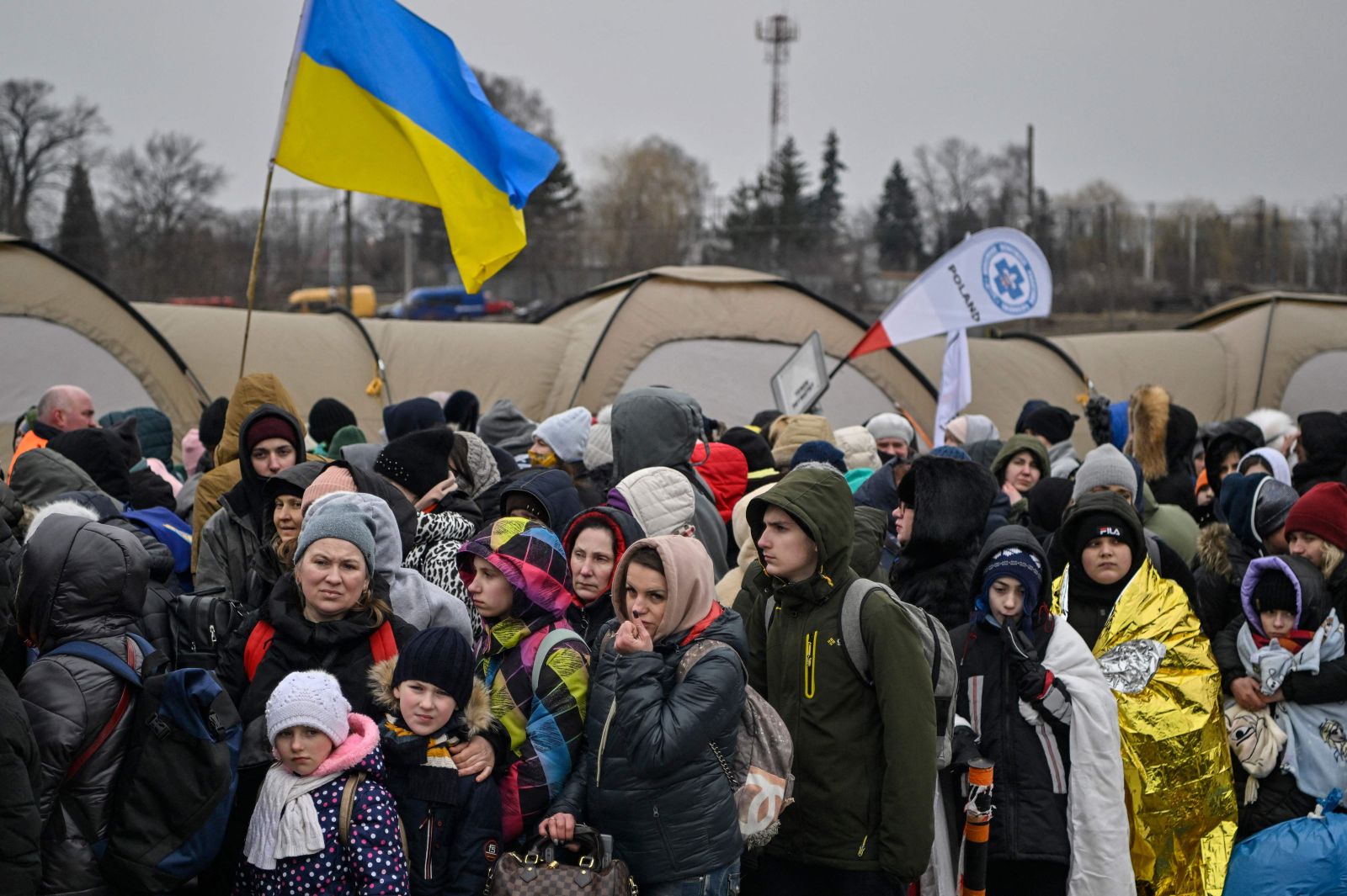 Kanadaya 210 min ukraynalı qaçqın gəlib