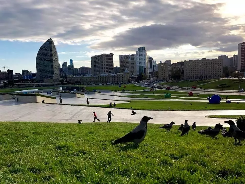 Ölkədə faktiki hava necədir?