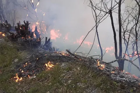Ağdərə rayonunda yanğınların söndürülməsinə iki helikopter cəlb olunub