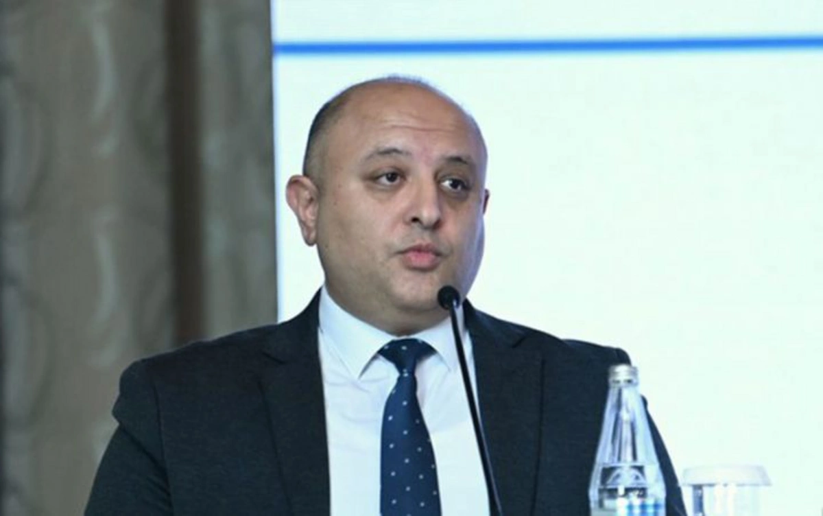 Kamran Həsənov: "Yeni terminlərin dilimizə uyğunlaşdırılmasında medianın üzərinə böyük məsuliyyət düşür"