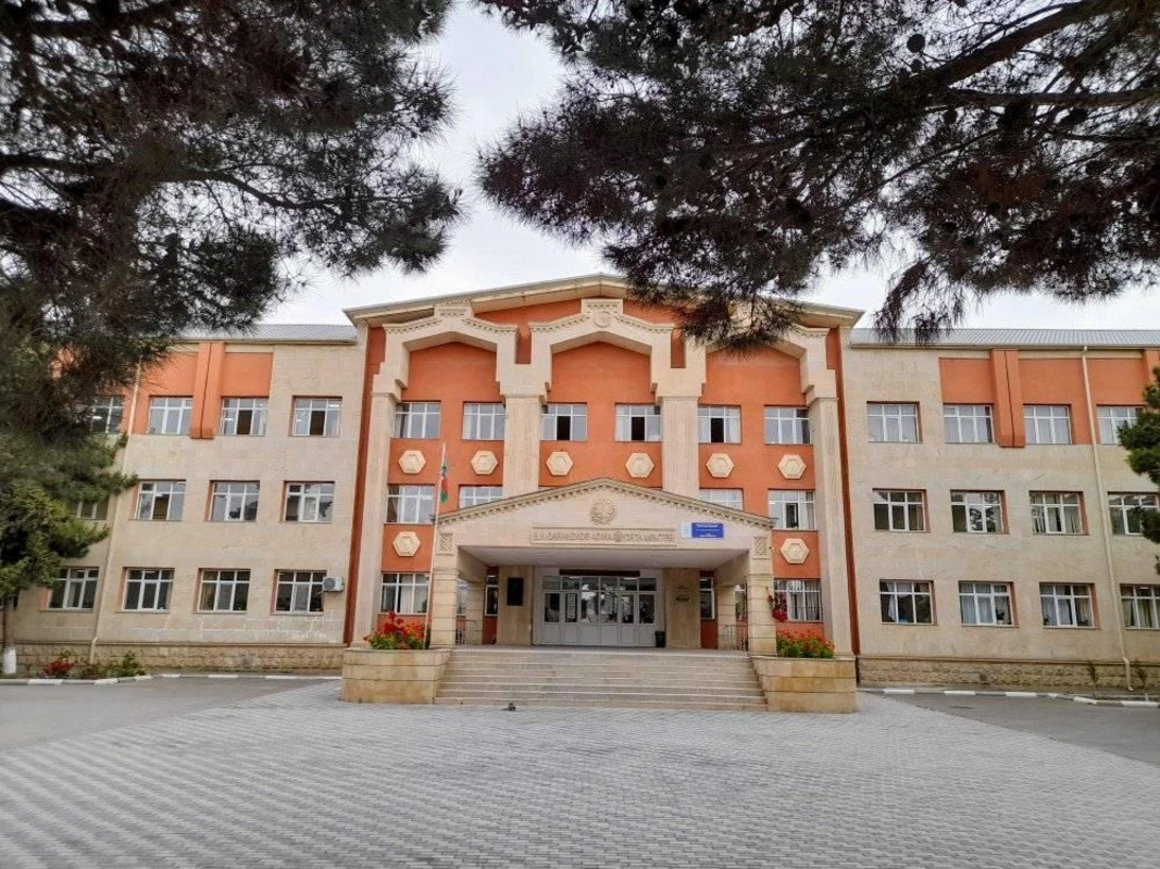 Bakıda məktəbin həyətində qadının şah damarını kəsdilər
