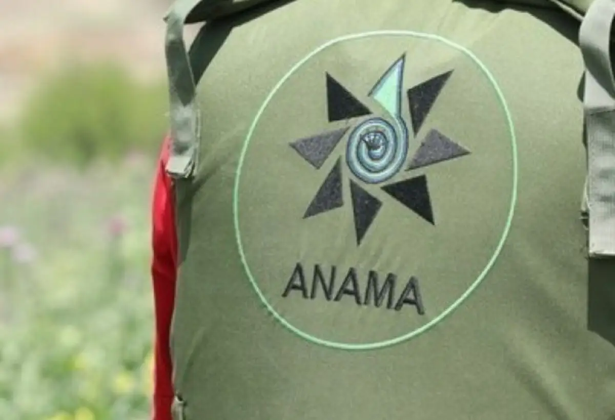 ANAMA əməkdaşı borcunu ödəmək üçün cinayətə əl atdı: 14 minlik oğurluq və 2 il yarım iş