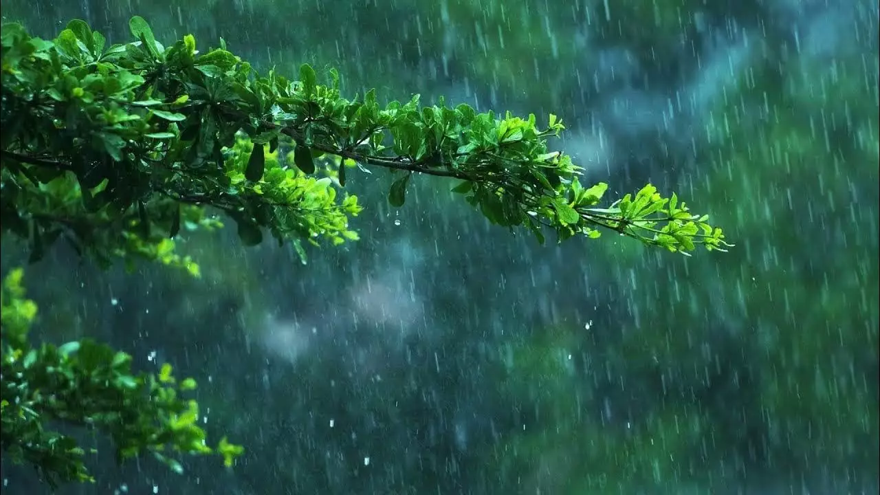 Sabah temperatur aşağı düşəcək, yağış yağacaq - PROQNOZ