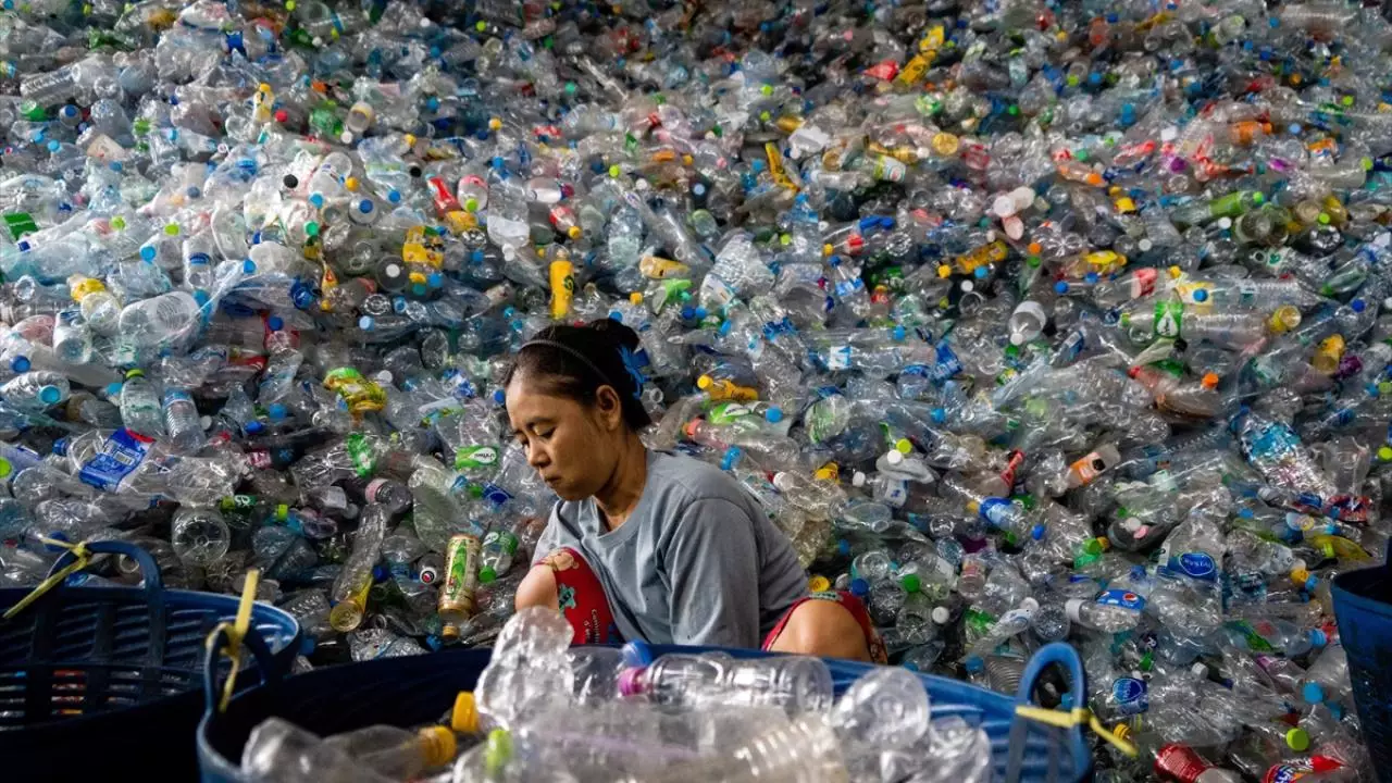 Dünya 10 ildən sonra plastik tullantıların öhdəsindən gələ bilməyəcək