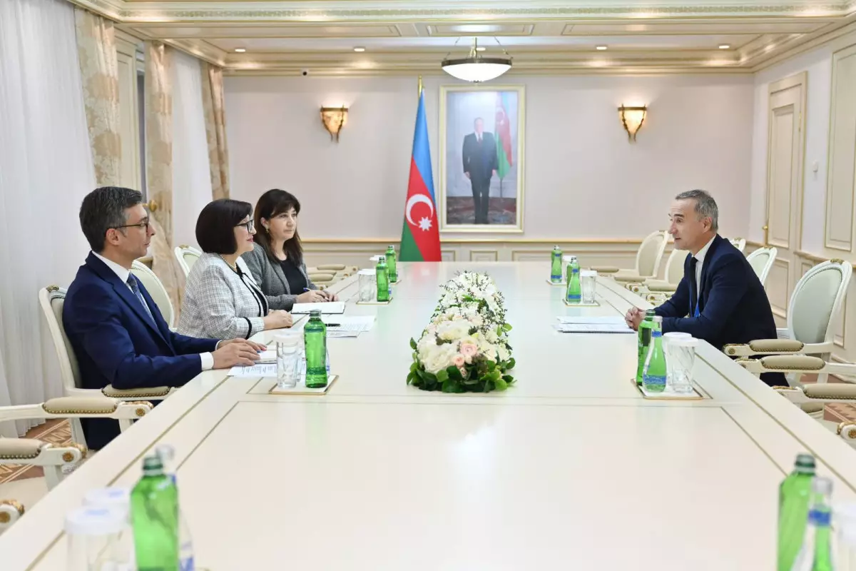 Sahibə Qafarova ATƏT PA-nın vitse-prezidenti ilə görüşüb - FOTO