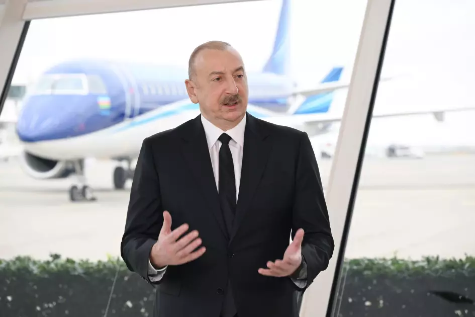 Prezident təyyarə qəzasının səbəbləri ilə bağlı bir sıra faktları açıqlayıb