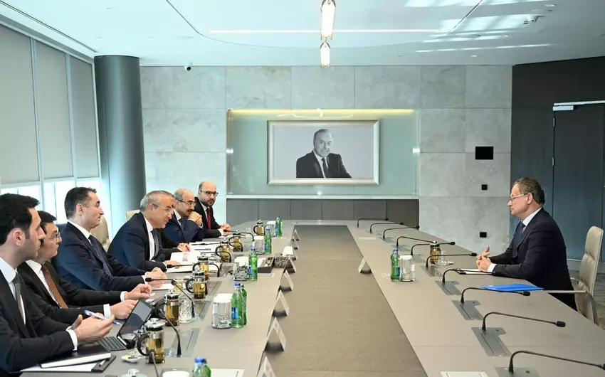 Azərbaycan Moldova şirkəti ilə şərabçılıq üzrə əməkdaşlığı müzakirə edib