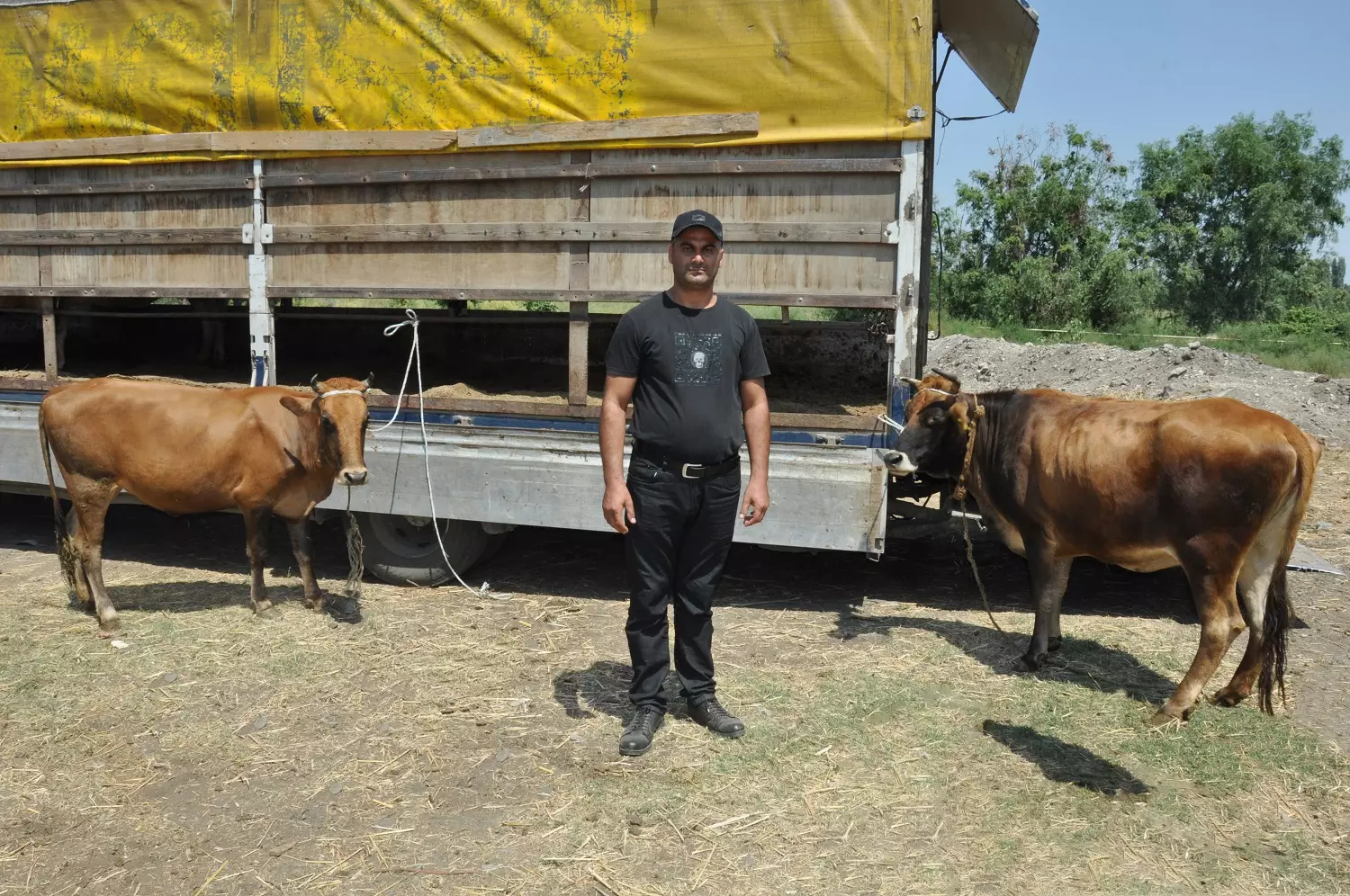 Milli Məclisdə özünüməşğulluq proqramı müzakirə edildi: “Xəstə heyvanları insanlara verirlər”