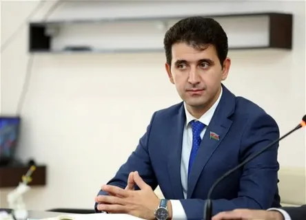 Sahibsiz heyvanların peyvənd edilməməsi ilə bağlı təklif irəli sürüldü